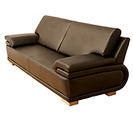 Leather Couch