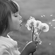 Girl Holding Dandelions Gray Thumbnail